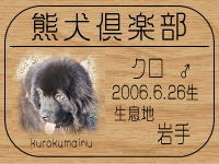 �܂邪������̂g�o�ւf�n�I